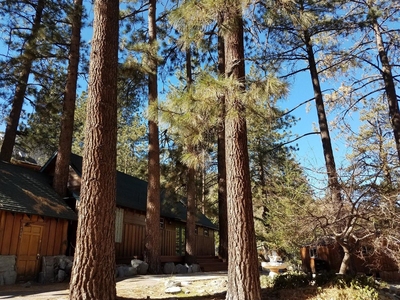 1005 Eagle Rd, Wrightwood, CA