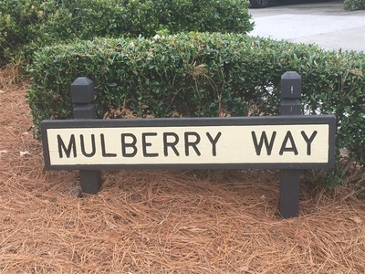 3536 Mulberry Way, Duluth, GA