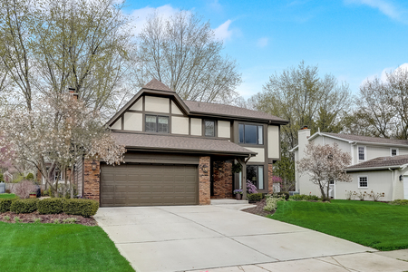 1135 Whirlaway Ave, Naperville, IL