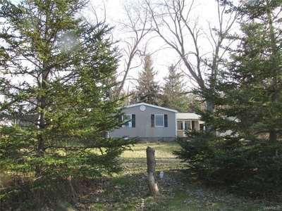 4181 Langford Rd, North Collins, NY