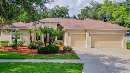 15512 Carrillon Estates Blvd, Tampa, FL