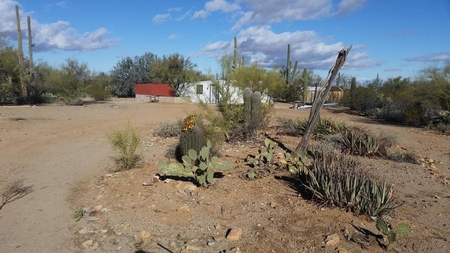 6801 N Desert View Dr, Tucson, AZ
