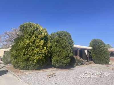 4125 Mesa Verde Ave, Albuquerque, NM