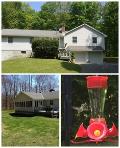 773 Gulf Rd, East Meredith, NY