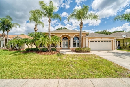 2115 Eagleview Ct, Kissimmee, FL
