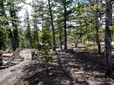 12 Tonkawa Dr, Red Feather Lakes, CO