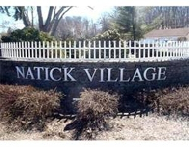 7 Village Hill Ln, Natick, MA