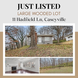 11 Hadfield Ln, Caseyville, IL