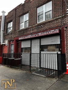 324 Grafton Street, Brooklyn, NY