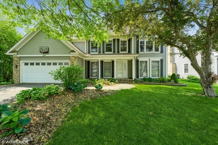 329 Carl Sands Dr, Cary, IL