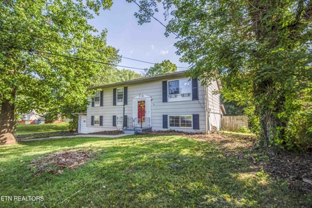 740 Owl Hollow Rd, Knoxville, TN