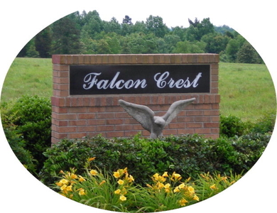 320 Falcon Crest Ln, Salisbury, NC