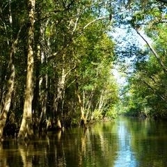 144 Swamp Haven Rd, Vernon, FL