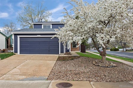 8097 Lee Ct, Arvada, CO