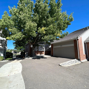 8703 Wentworth Ct, Lone Tree, CO