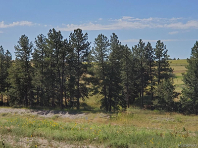 10562 Shadow Pines Rd, Parker, CO