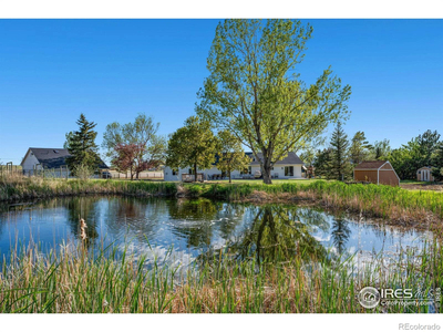 6280 E County Road 60, Fort Collins, CO