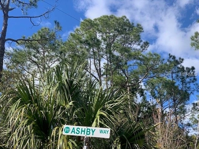 917 Ashby Way, Osteen, FL
