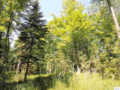 87455 Bark River Rd, Herbster, WI