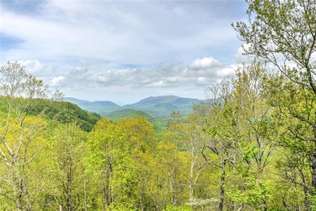 131 Crystal Falls Dr, Fairview, NC