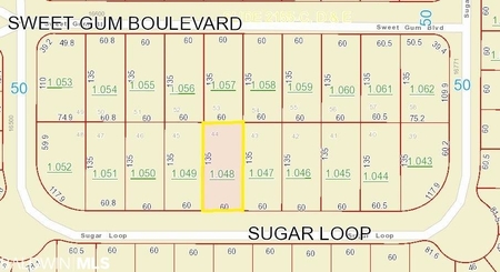 16649 Sugar Loop, Foley, AL