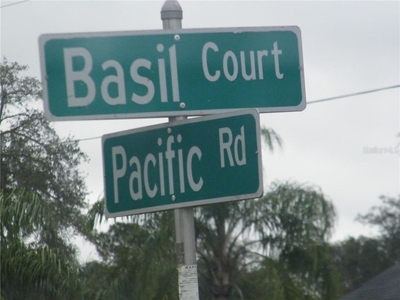 513 Basil Ct, Kissimmee, FL