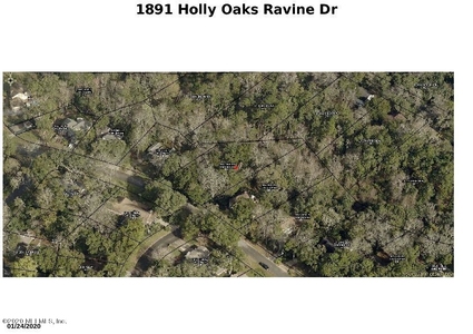 1891 Holly Oaks Ravine Dr, Jacksonville, FL