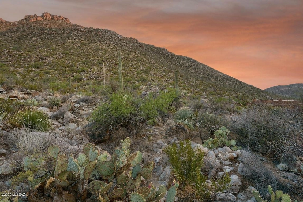 Photo of 14885 North Copper Sunset Drive, Marana, AZ 85658
