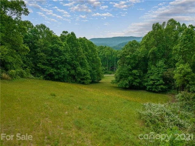 Photo of 1104 Frost Road, Saluda, NC 28773