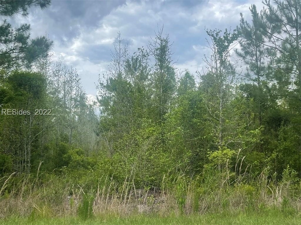 Unit for sale at 0 Off Cypress Branch Road, Pineland, SC 29934