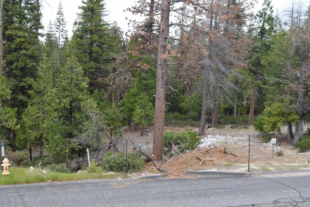 Unit for sale at 0 Fawn Lilly Lane, Shaver Lake, CA 93664