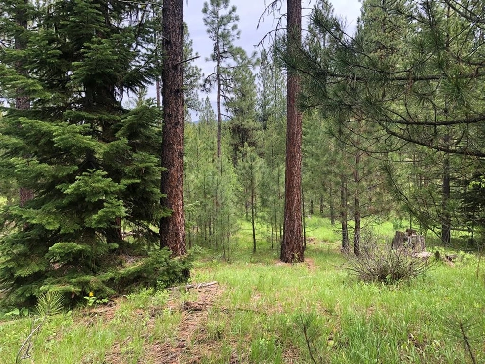 Unit for sale at Lot 18 Silver Cloud Drive, Cascade, ID 83611