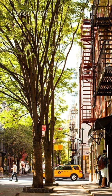 15 West 12th Street New York Ny 12th Street Apts Co at 15 West 12th Street, New York, NY 10011: Sales