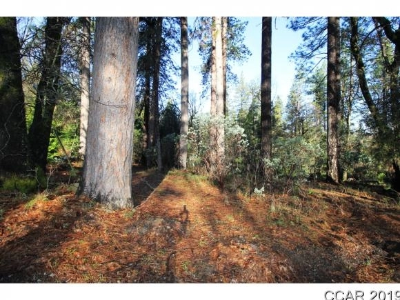 Photo of 398 Apple Drive, Hathaway Pines, CA 95233
