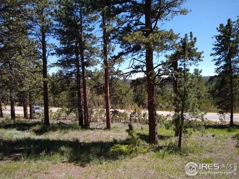 Photo of 24210 Red Feather Lakes Road, Red Feather Lakes, CO 80545