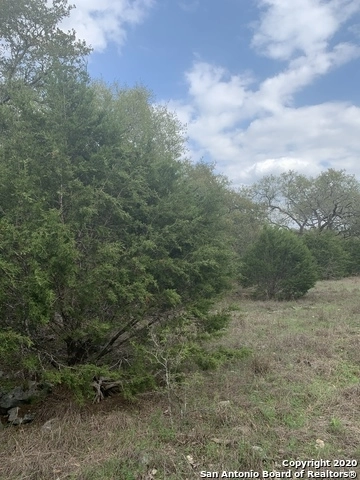 Photo of 184 Grey Fox Circle, Spring Branch, TX 78070